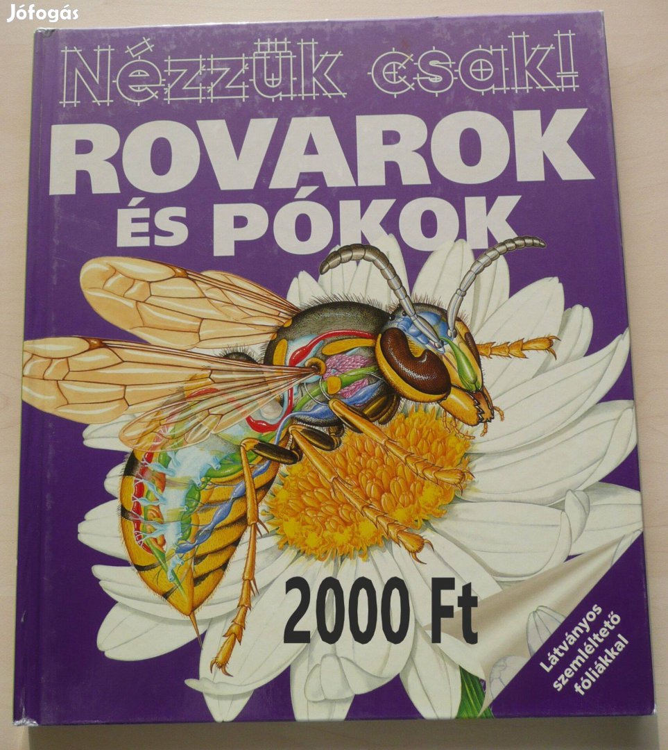 Rovarok és pókok könyv