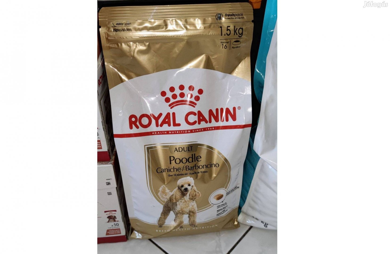 Royal Canin Poodle Adult száraztáp 1,5 kg, kutyatáp, eledel, uszkár