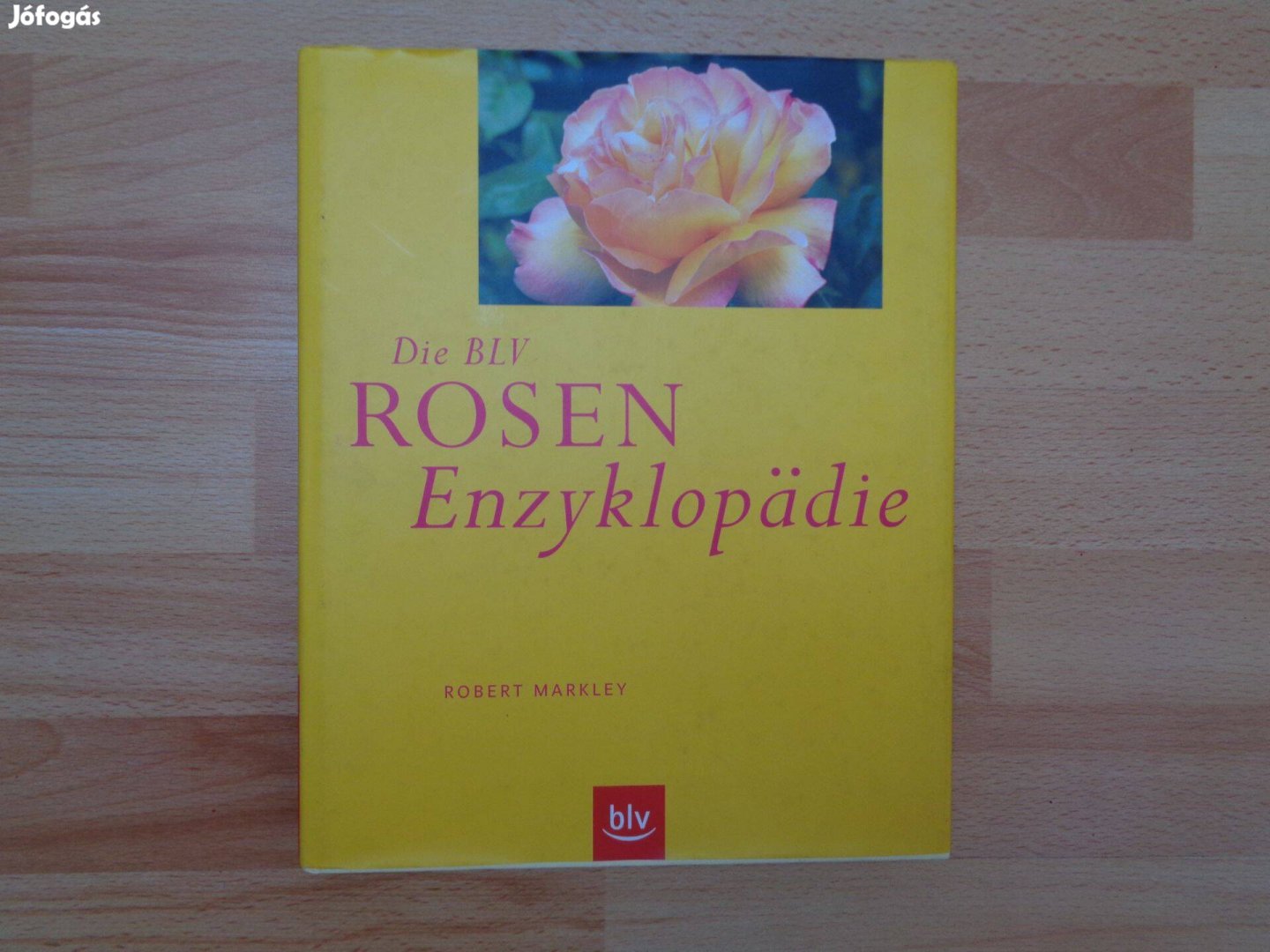 Rózsa virág enciklopédia