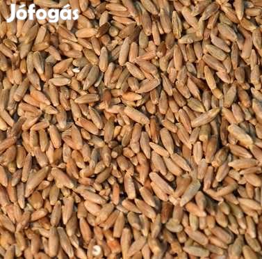 Rozsmaláta EBC 6  1kg  (752 )