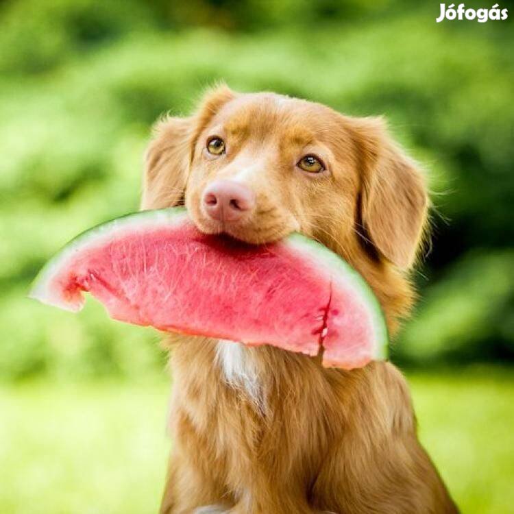 Rrrrrrrrrrrrrrrrrrrrrrrrrr