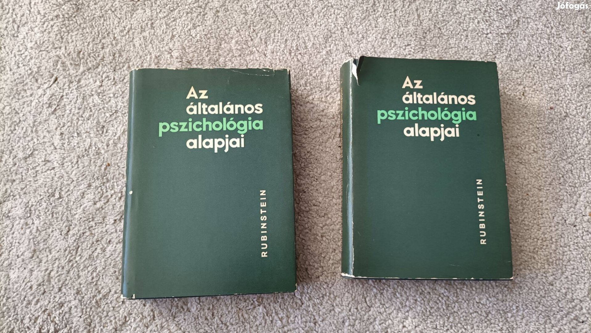 Rubinstein - Az általános pszichológia alapjai 1967