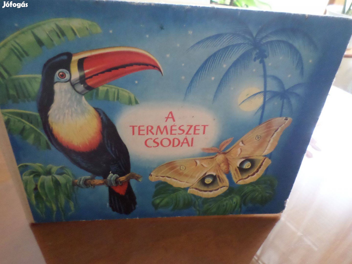 Rudolf Engel-Hardt A Természet Csodái Képeskönyv, Gyermekkönyv