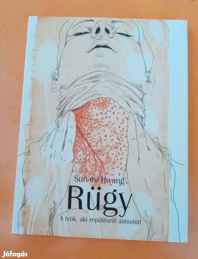 Rügy - A tyúk, aki repülésről álmodott c. könyv