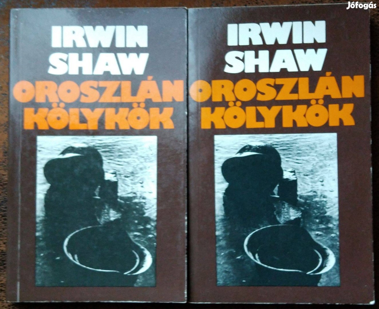 Rwin Shaw Oroszlán kölykök