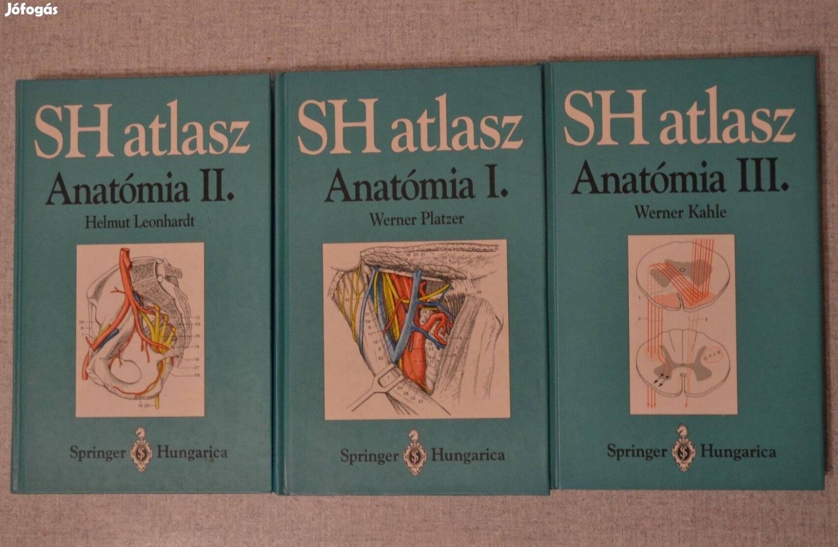SH Atlasz Anatómia