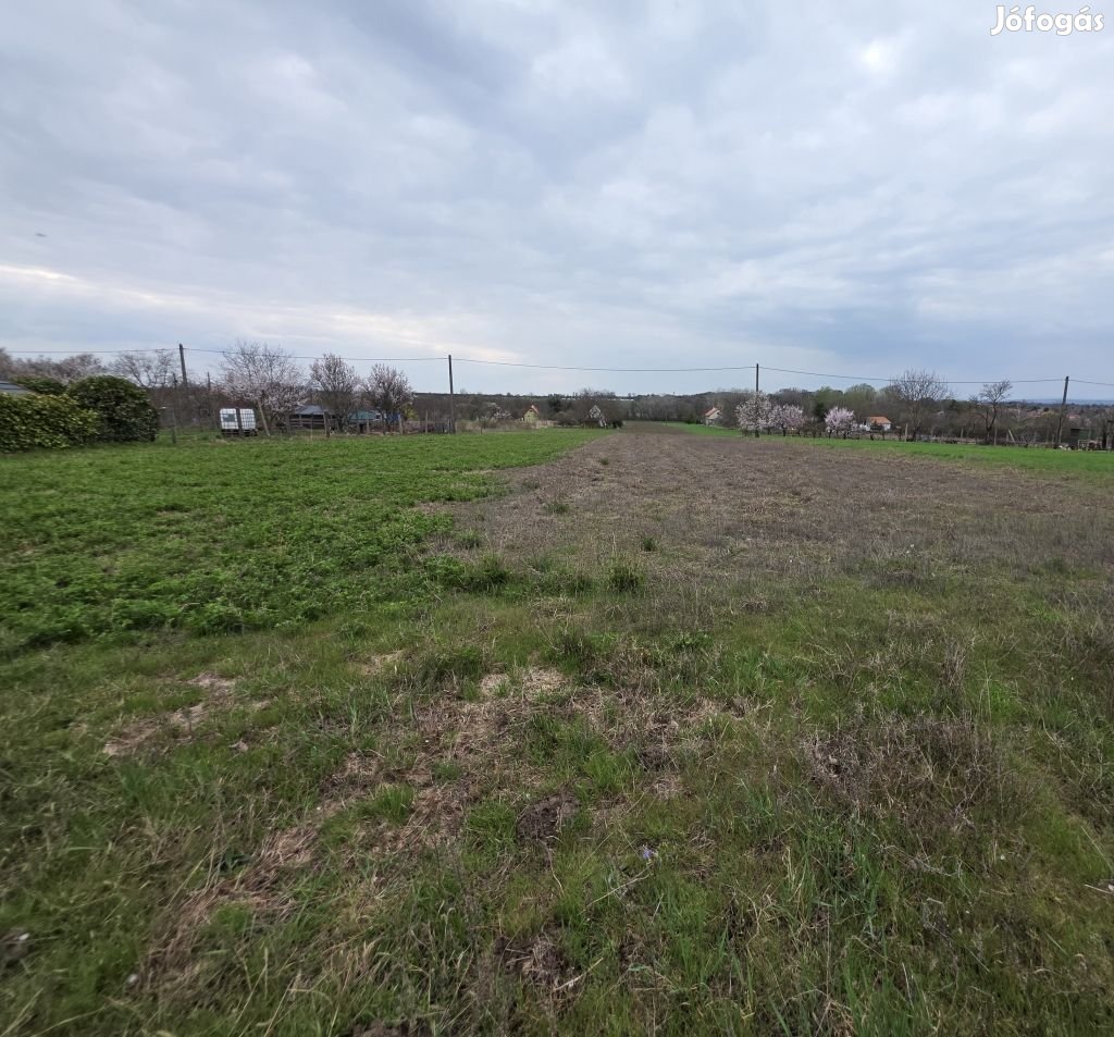 SZABÁLYOS TÉGLALAP ALAKÚ ZÁRTKERTI TELEK GÁRDONYBAN!