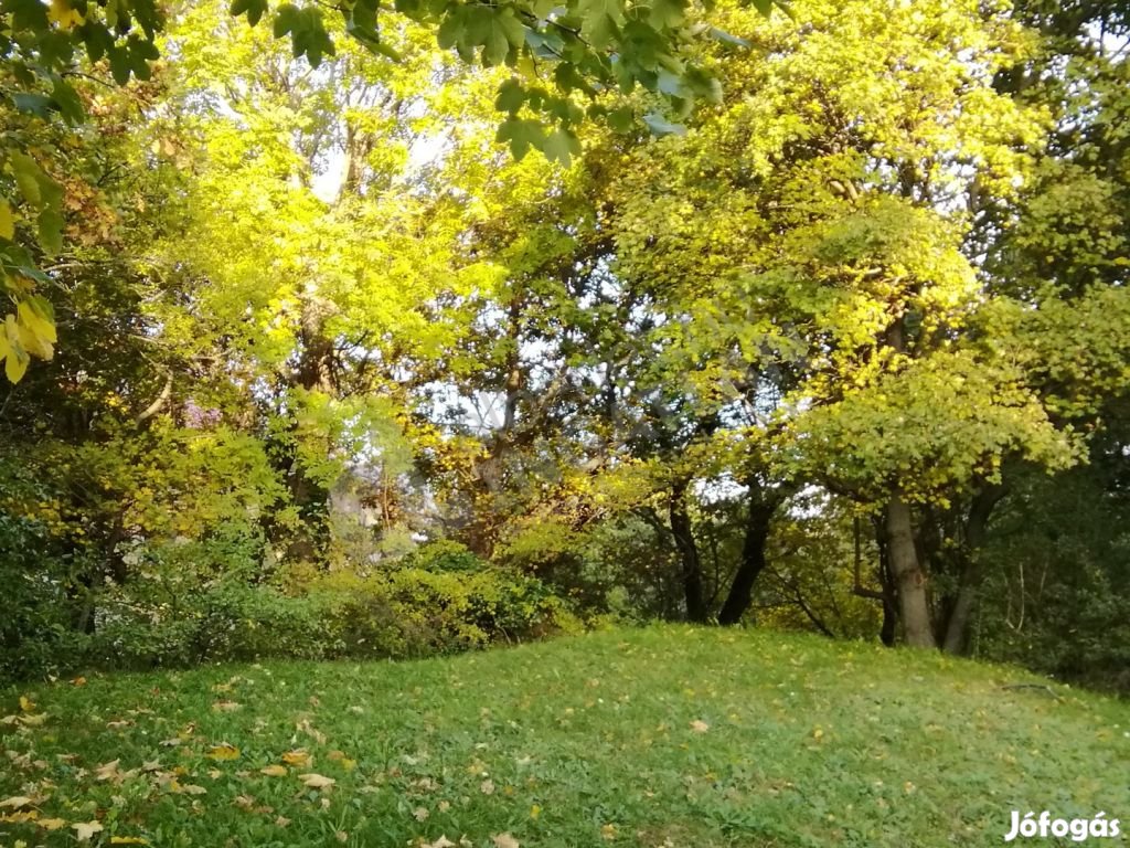 SZÉCHENYI-HEGYEN KIADÓ 2 SZOBÁS+ ERKÉLYES, PANORÁMÁS,NAPOS LAKÁS!