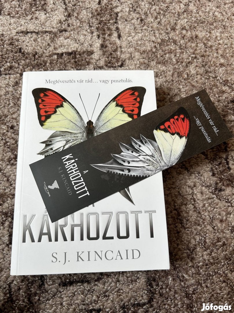 S. J. Kincaid: A kárhozott