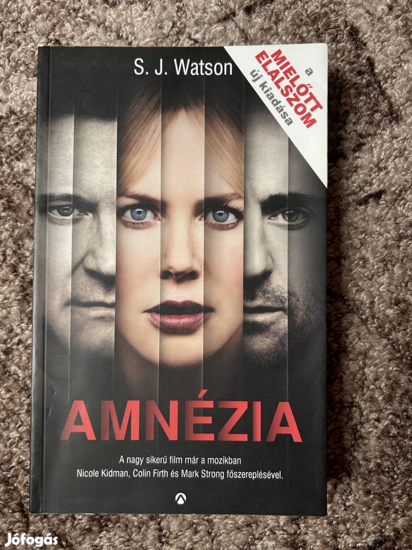 S. J. Watson: Amnézia