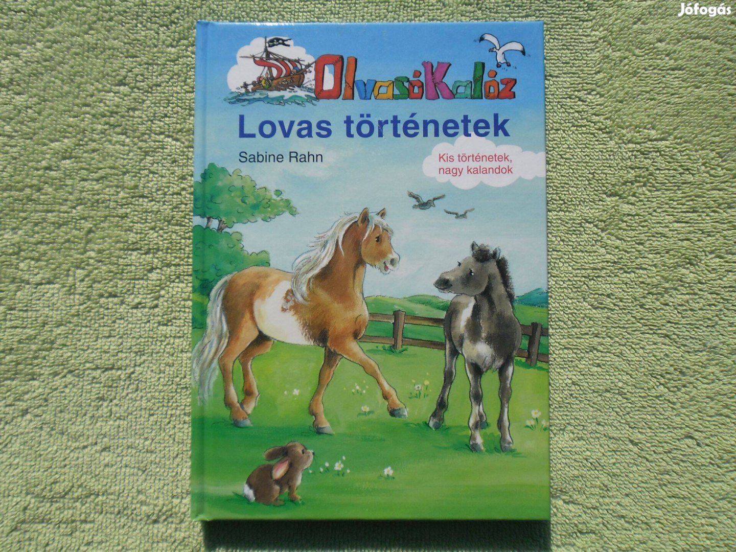Sabine Rahn: Lovas történetek /Olvasó Kalóz!/