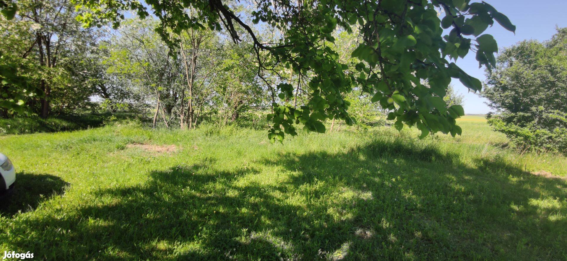 Sajóvámoson 1169 m zártkert (gyümölcsös) közvetlenül az út mellett