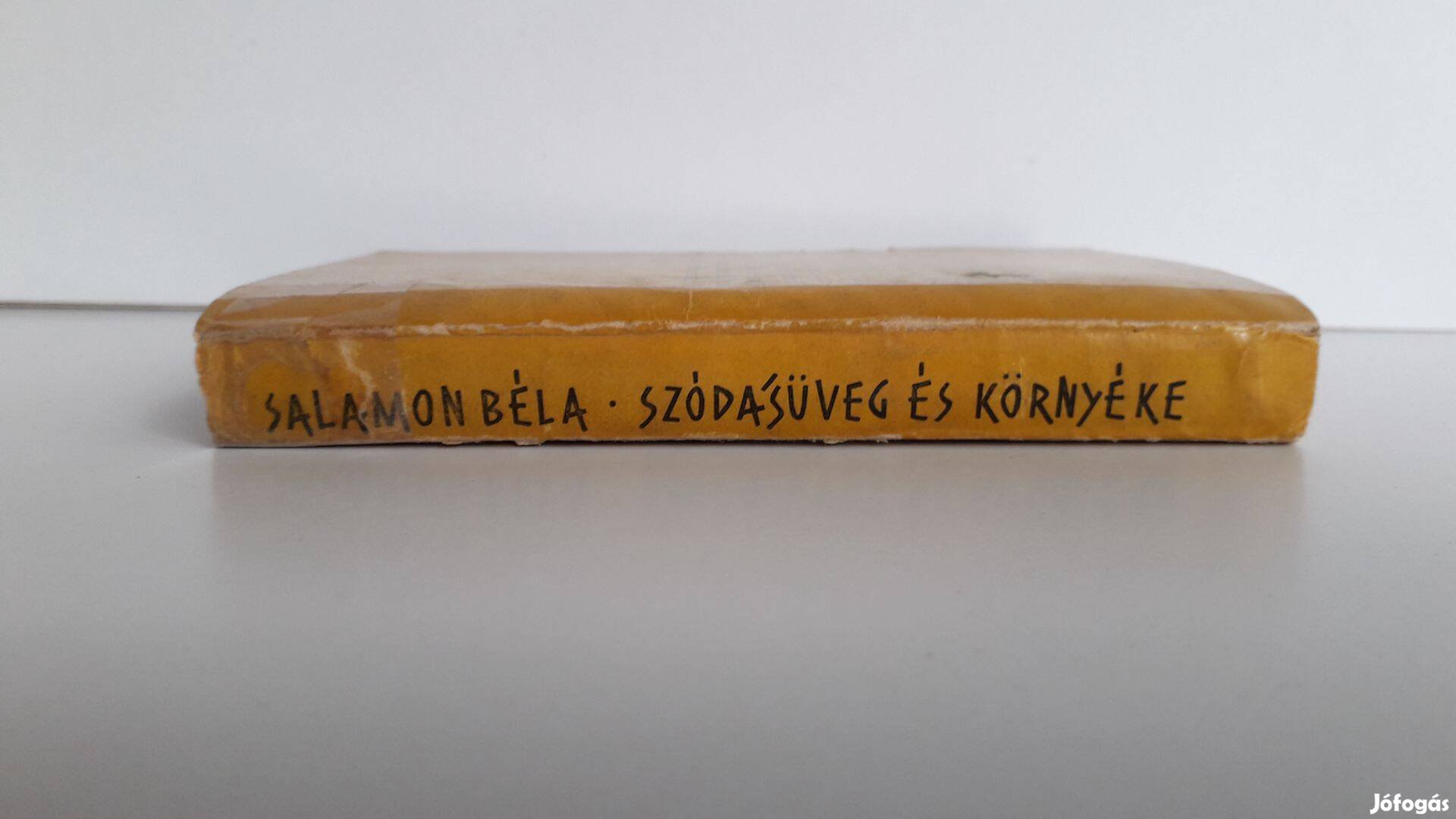 Salamon Béla Szódásüveg és környéke 13*9 cm vidám könyvek