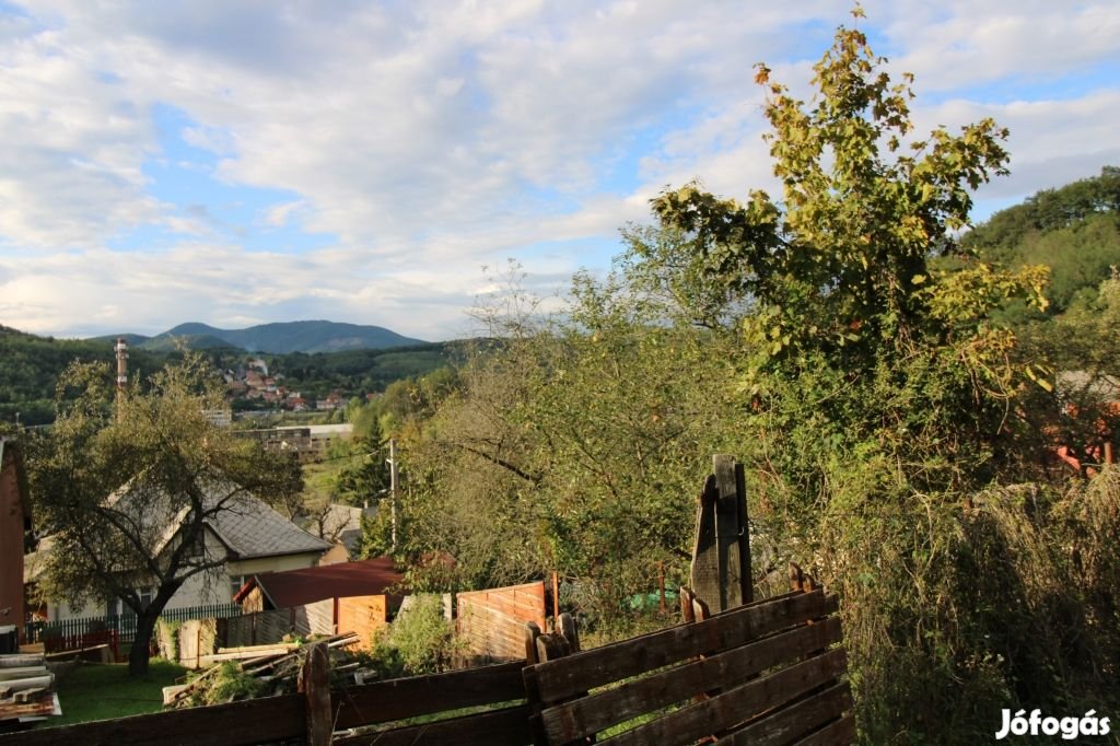 Salgótarján Jónásch telepen erdőkapcsolatos telek, régi