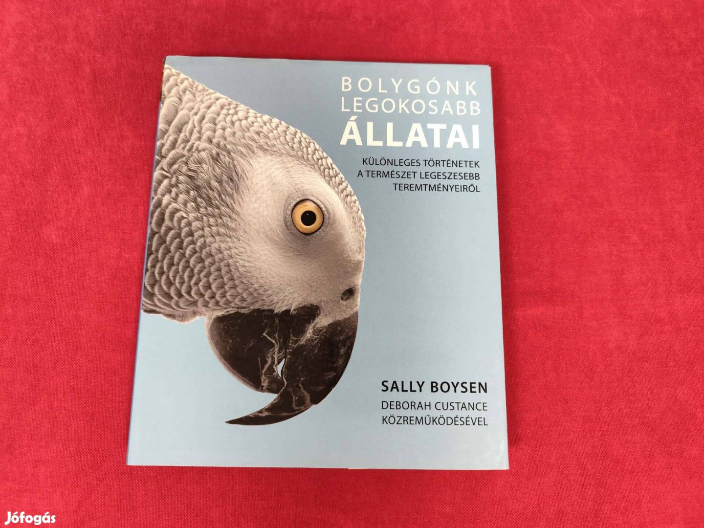 Sally Boysen Bolygónk legokosabb állatai