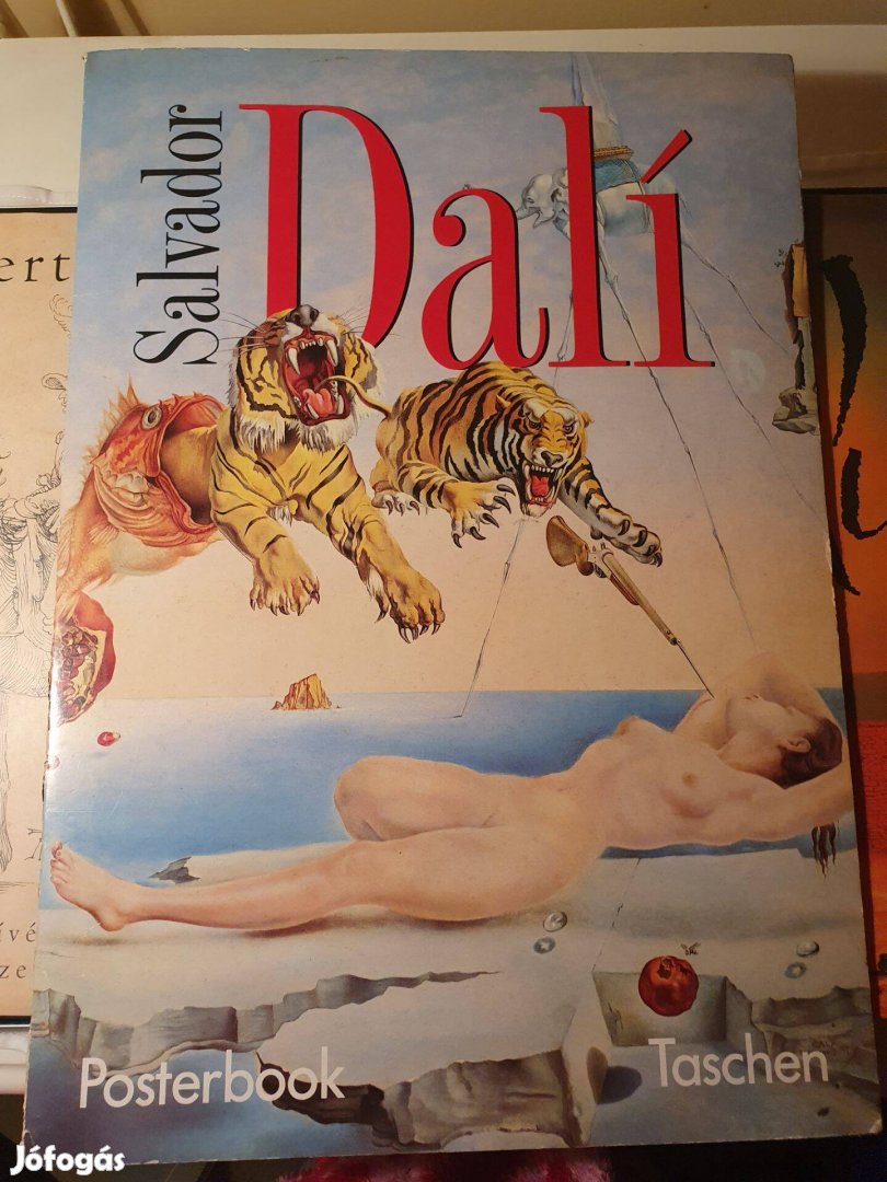 Salvador Dalí- Posterbook, Mayer Marianna - Dalí, Dürertől Dalíig