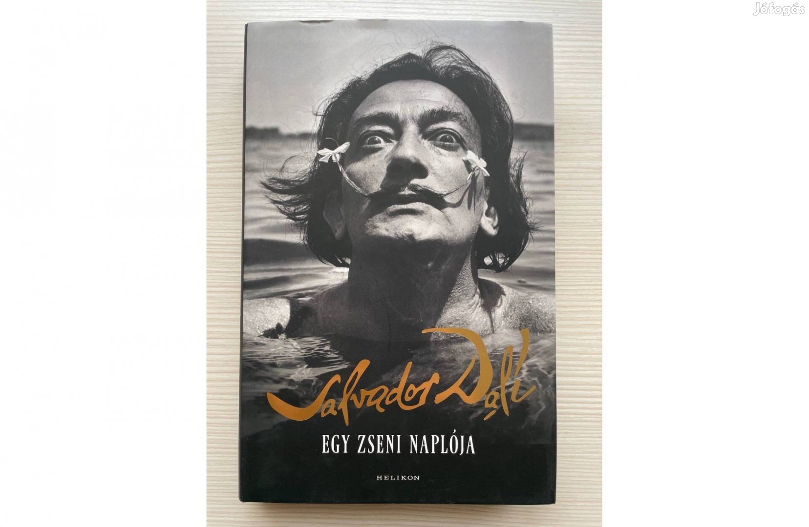 Salvador Dalí - Egy zseni naplója