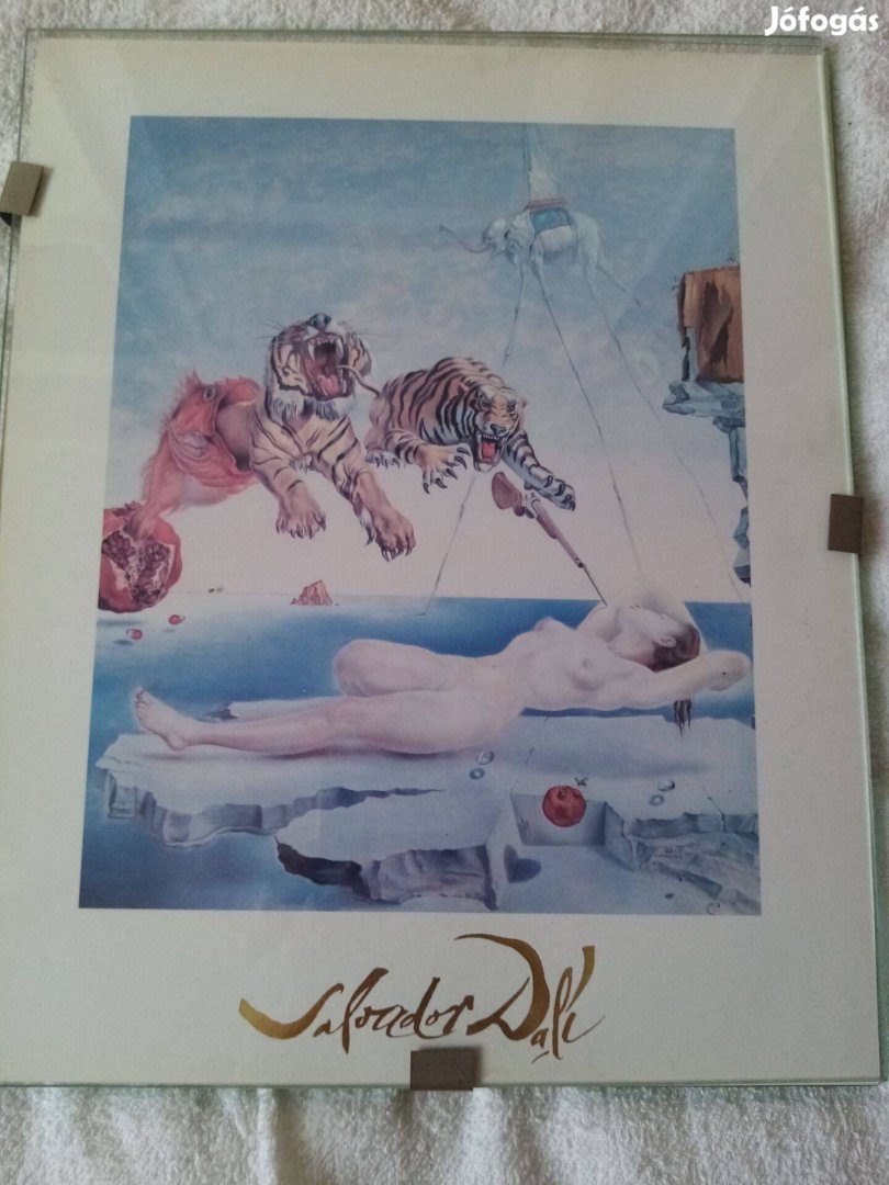 Salvador Dali reprodukció