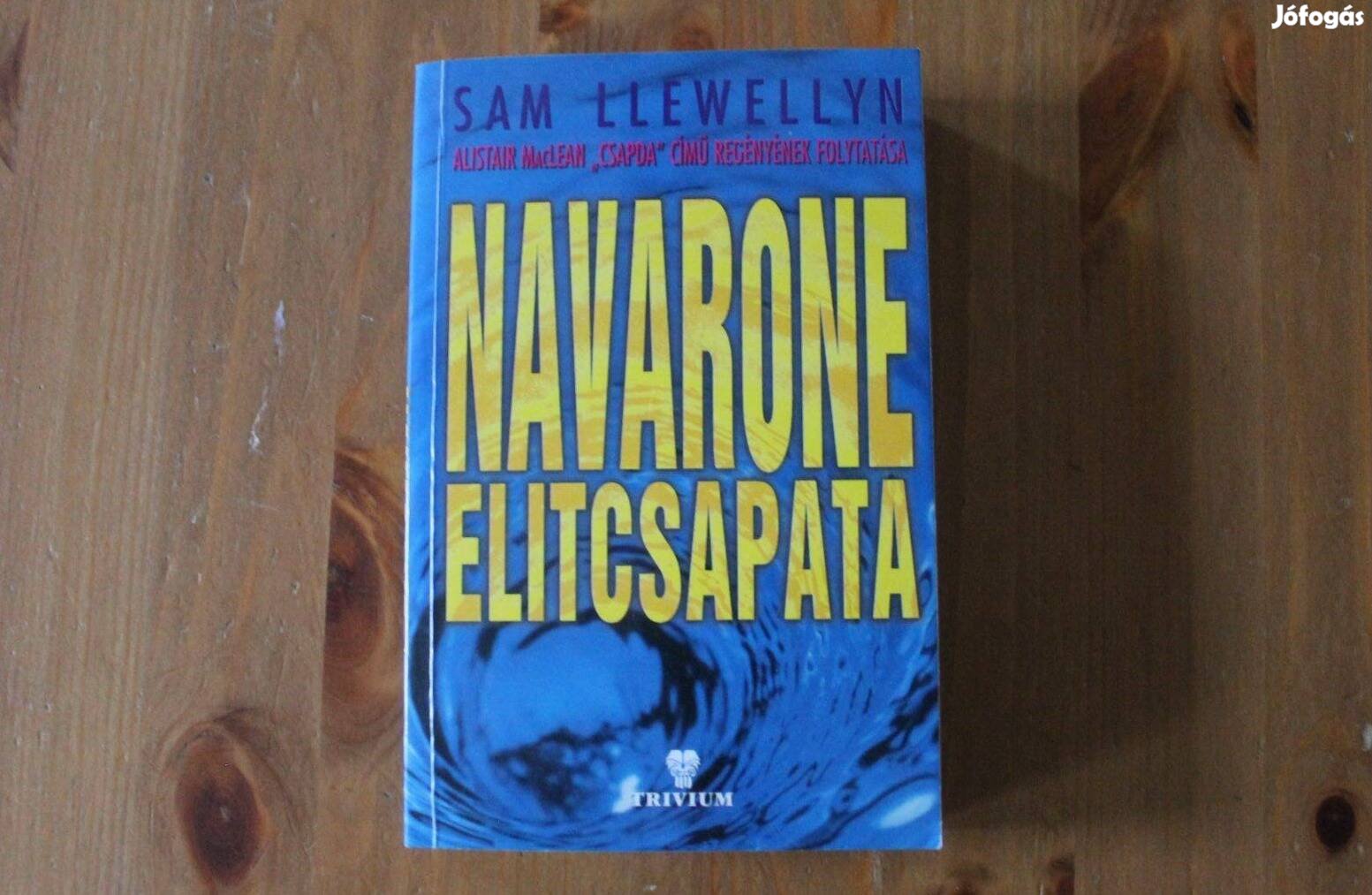 Sam Llewellyn - Navarone elitcsapata