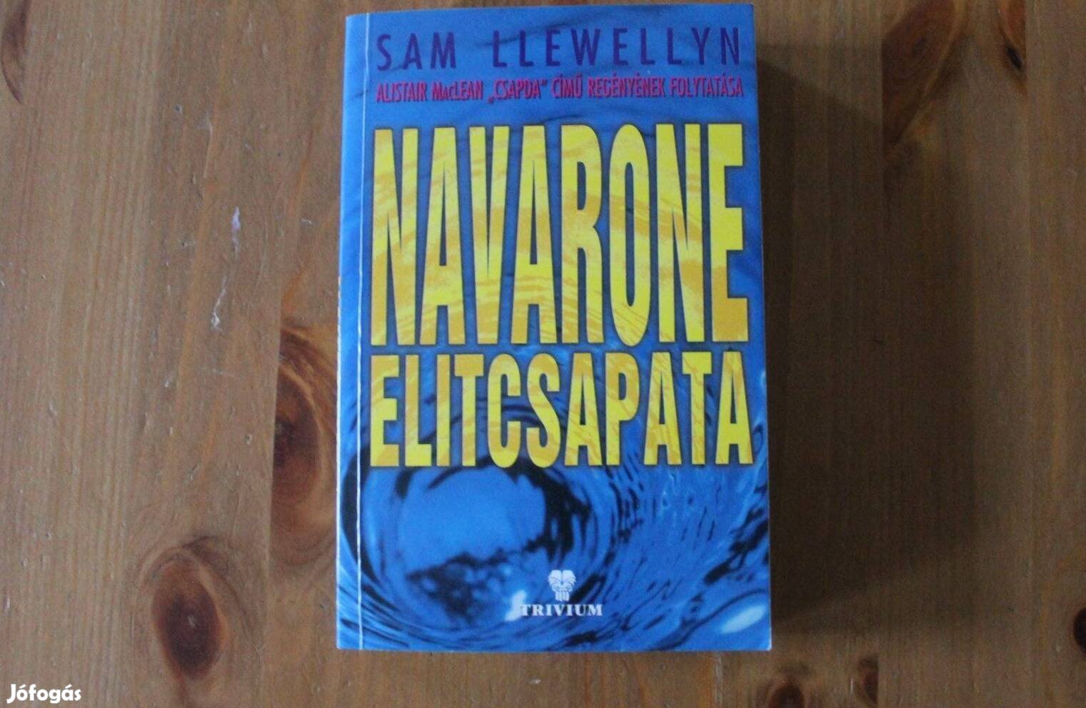 Sam Llewellyn - Navarone elitcsapata