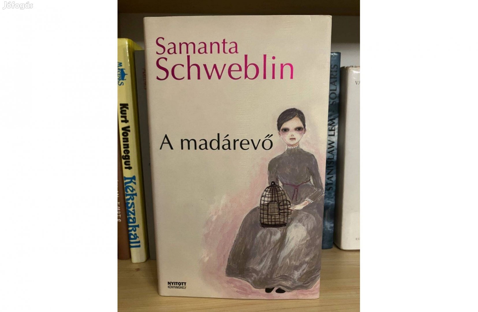 Samanta Schweblin A madárevő