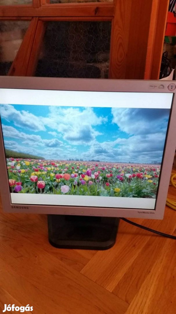 Samsung 19" LCD monitor 