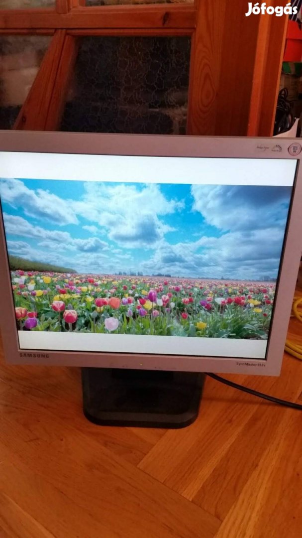 Samsung 19" monitor 