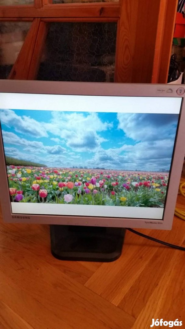 Samsung 19" monitor 