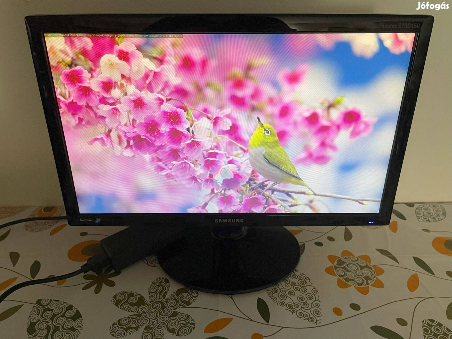 Samsung 19"-os S19B150N LED monitor