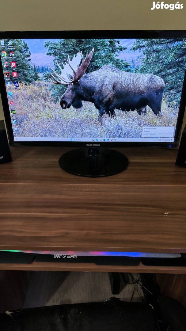 Samsung 24" monitor