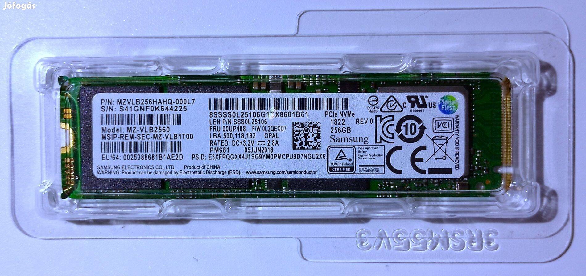 Samsung 256 GB Nvme Pcie SSD + Win 11