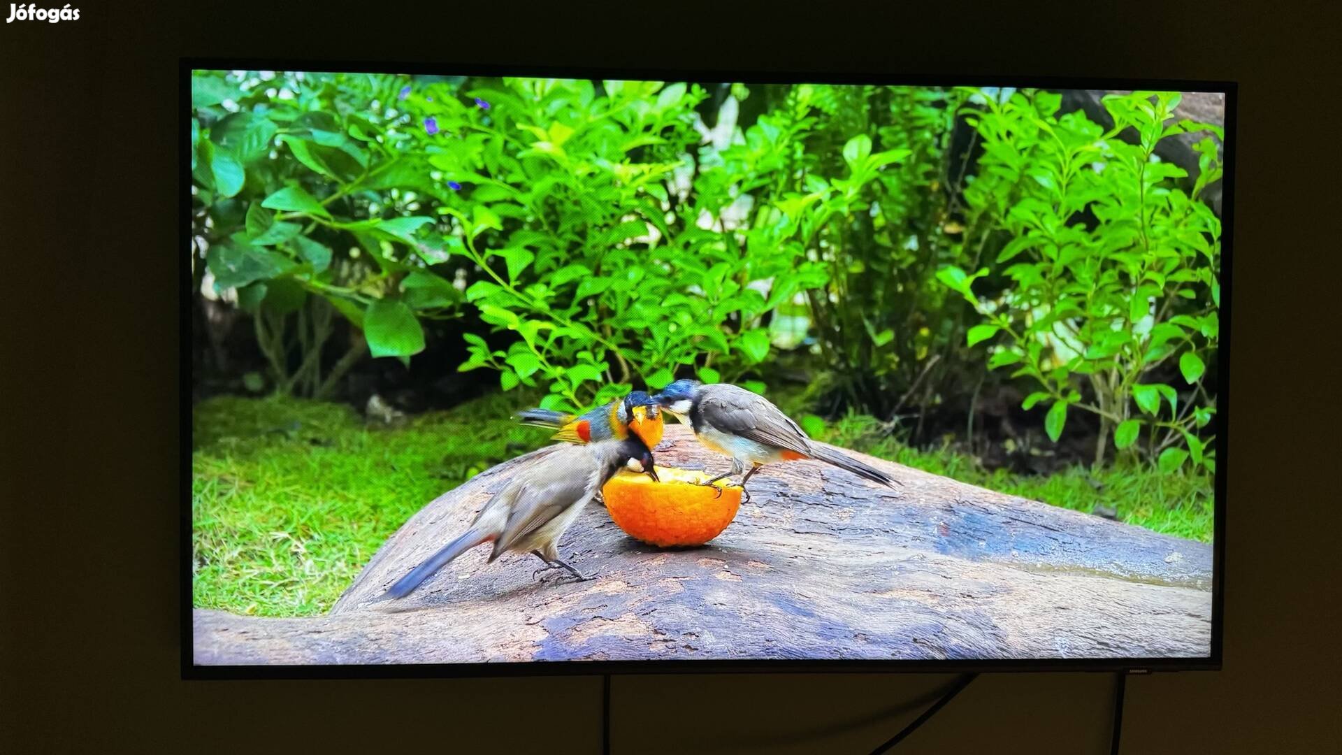 Samsung 43 Qled 4K tv eladó