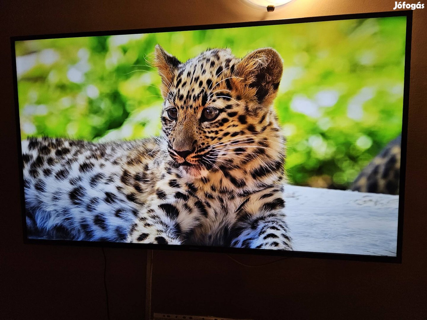 Samsung 4k 139cm-es prémium smart tv 