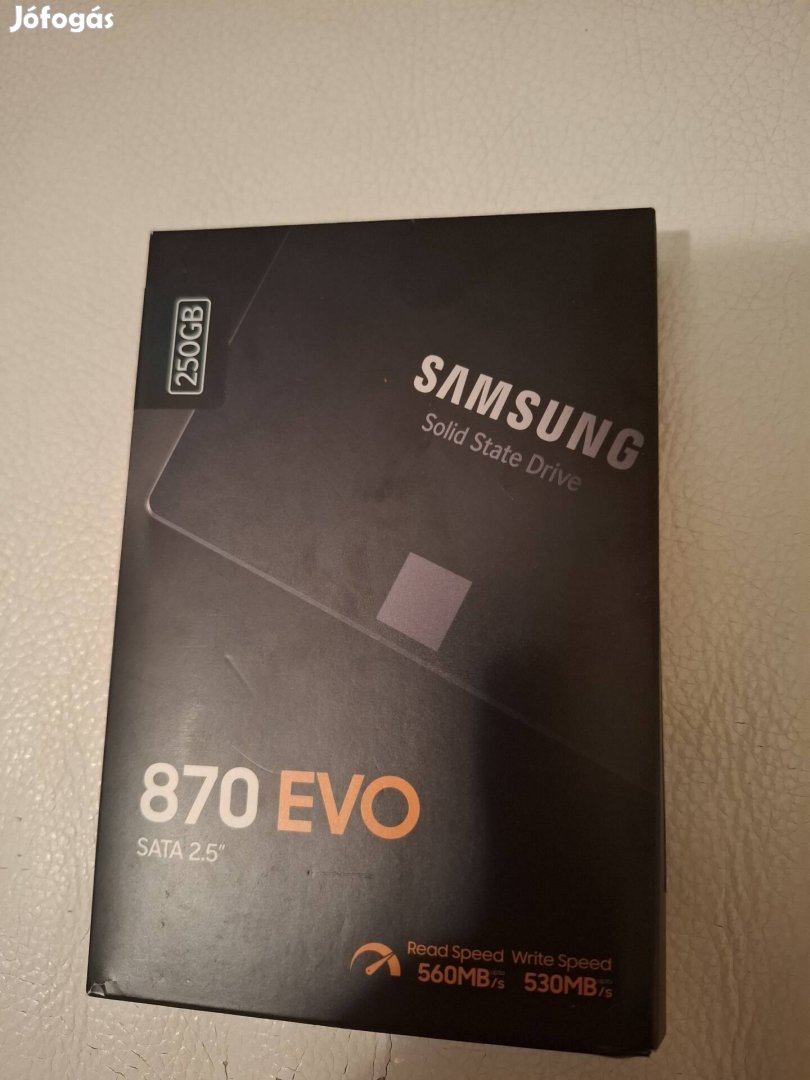 Samsung 870 Evo SATA 2.5 250GB