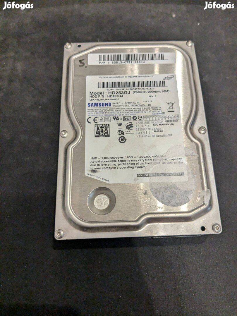 Samsung HD253GJ HDD merevlemez SATA 100/100 250 GB 3,5"