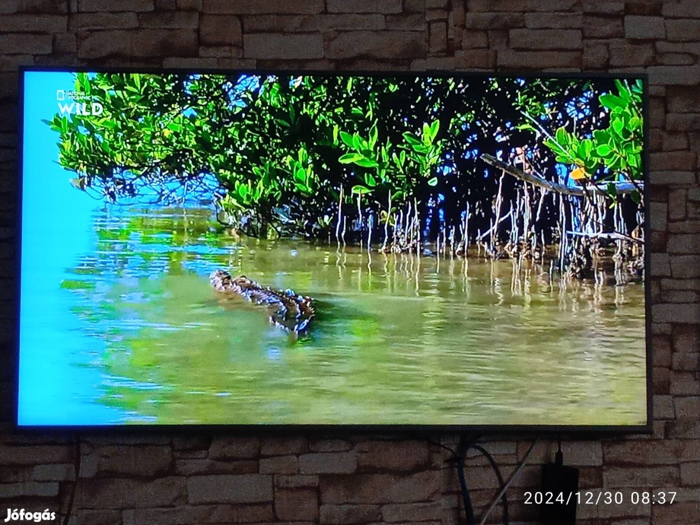 Samsung Q LED tv Kolozsvári Gábornak