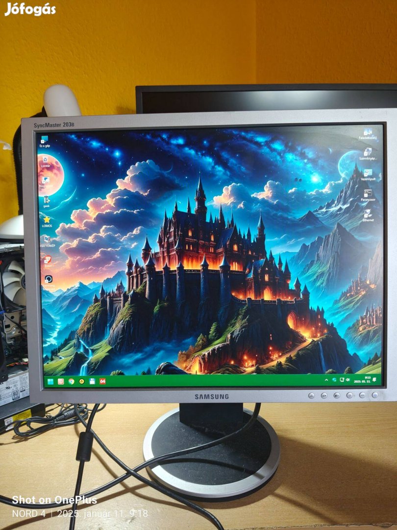 Samsung Syncmaster 203B Monitor