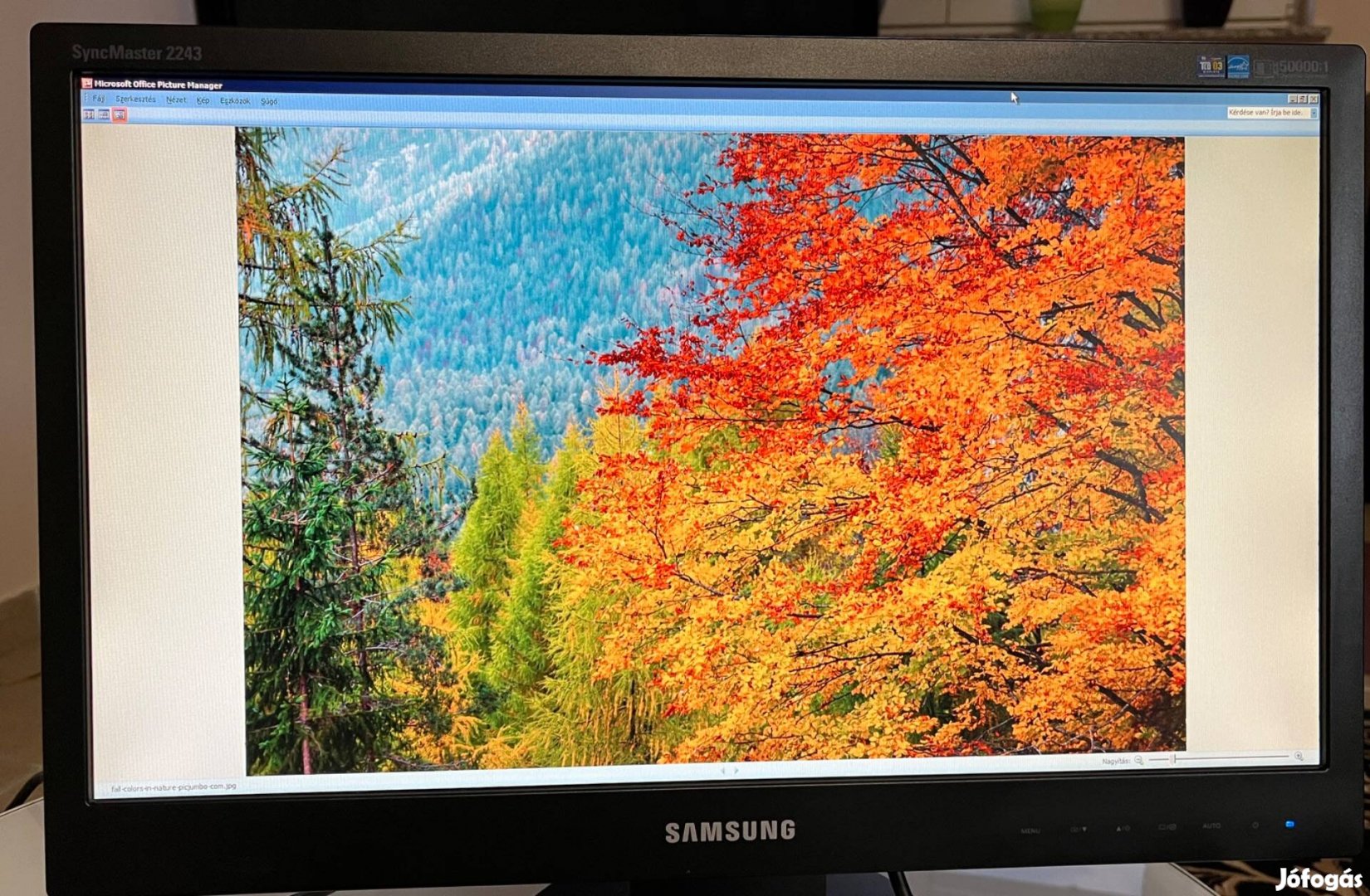 Samsung Syncmaster 2243SN 1920x1080 monitor