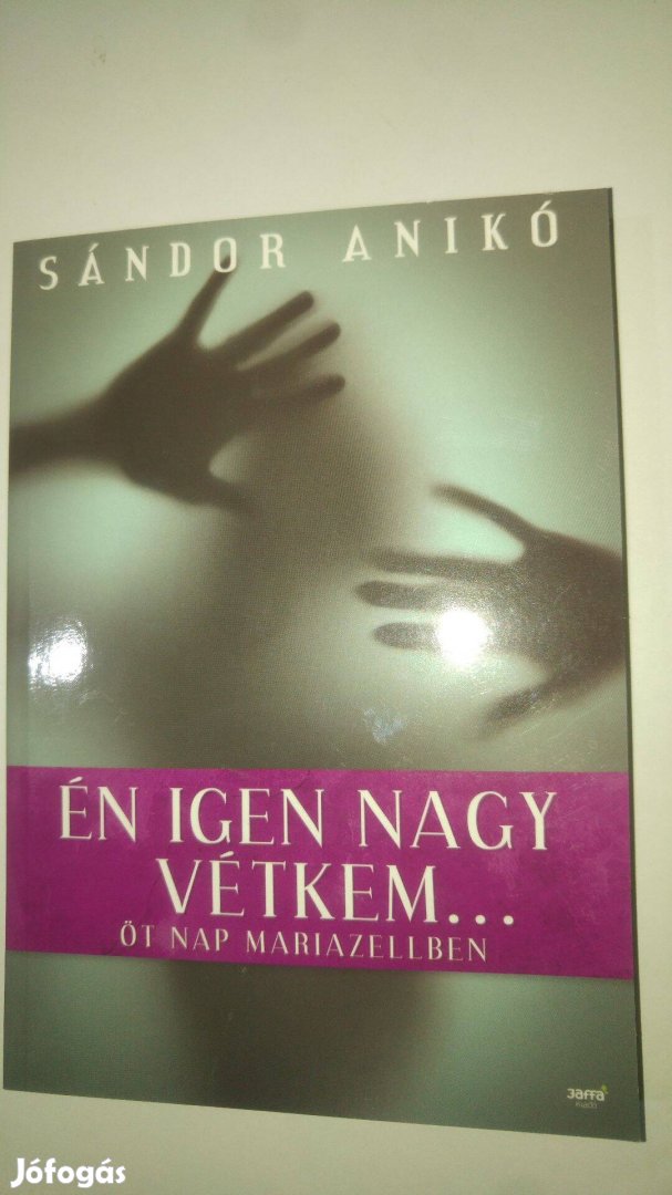 Sándor Anikó Én igen nagy vétkem