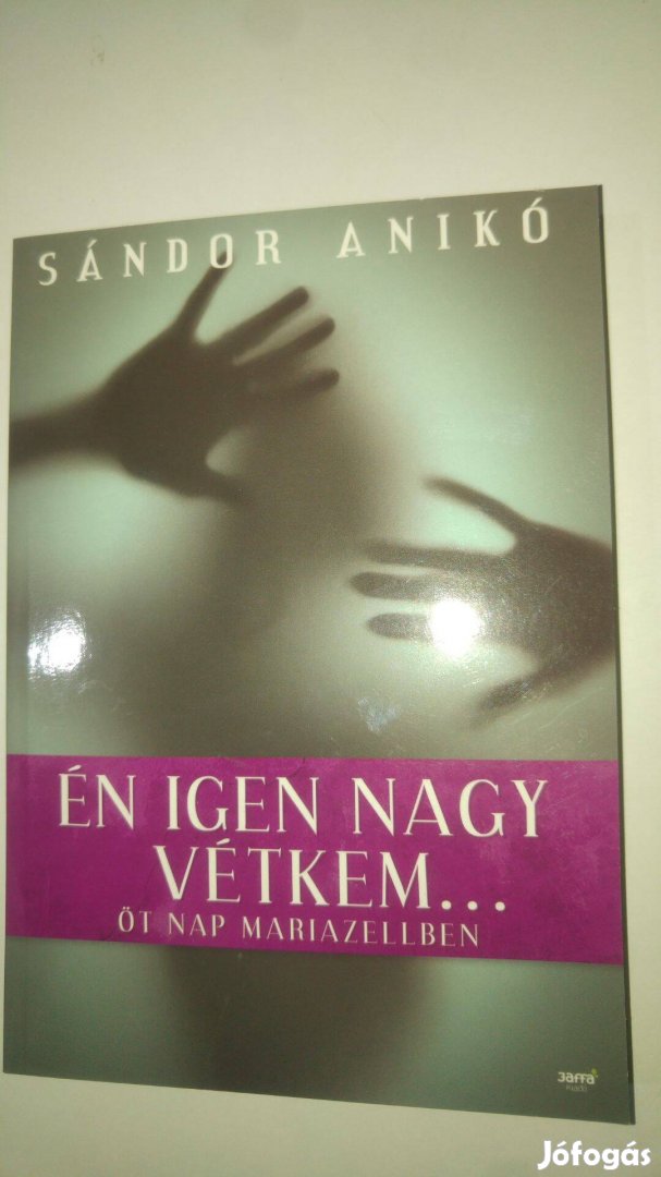 Sándor Anikó Én igen nagy vétkem