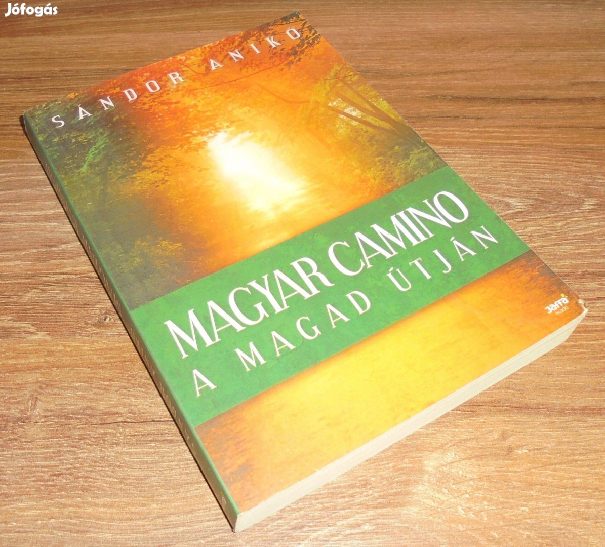 Sándor Anikó Magyar Camino - A magad útján