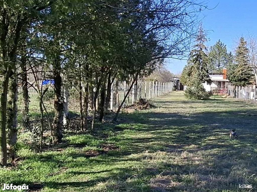 Sándorfalva kis ház |