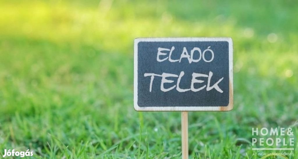 Sándorfalván telek eladó! - Sándorfalva