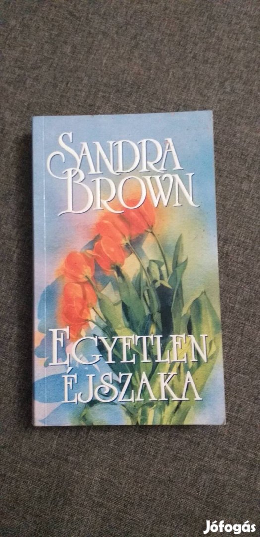 Sandra Brown Egyetlen éjszaka könyv, könyvek