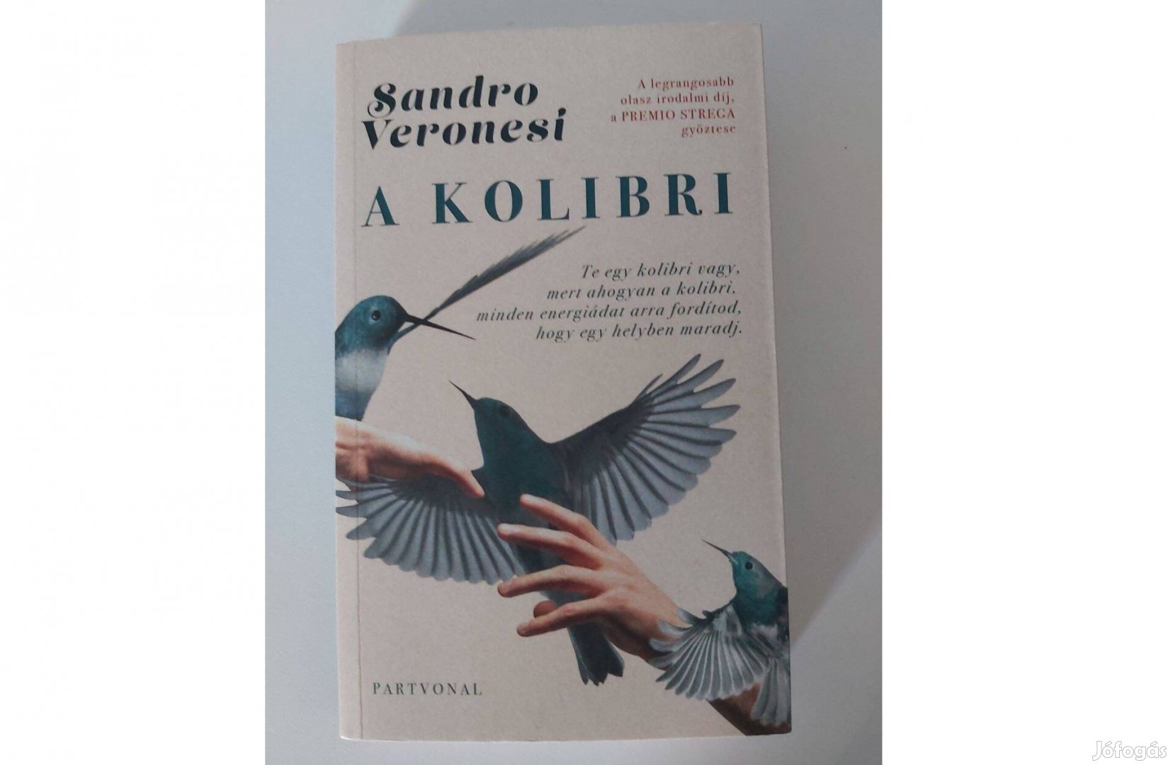 Sandro Veronesi: A kolibri