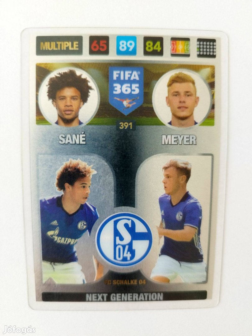 Sané - Meyer fociskártya