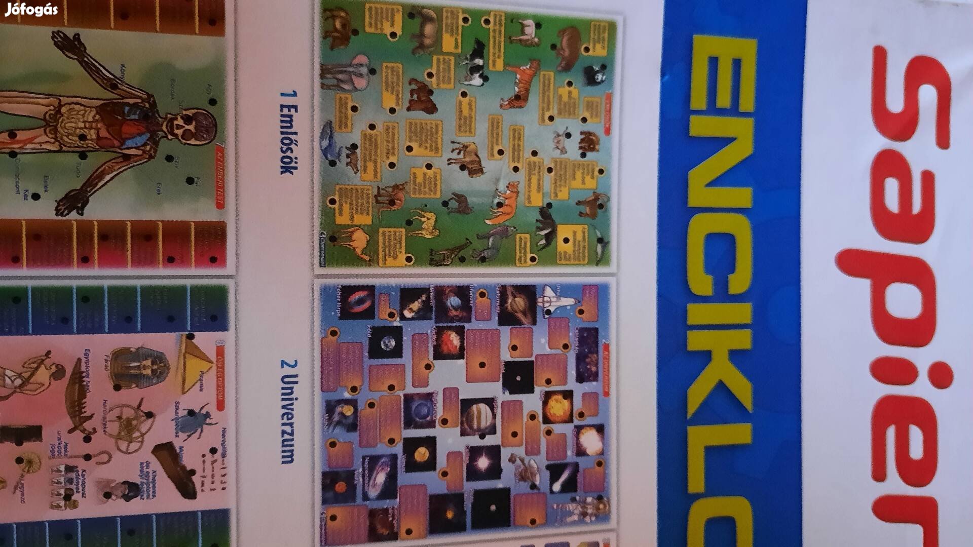 Sapientino enciklopédia,  Spricelős játék 