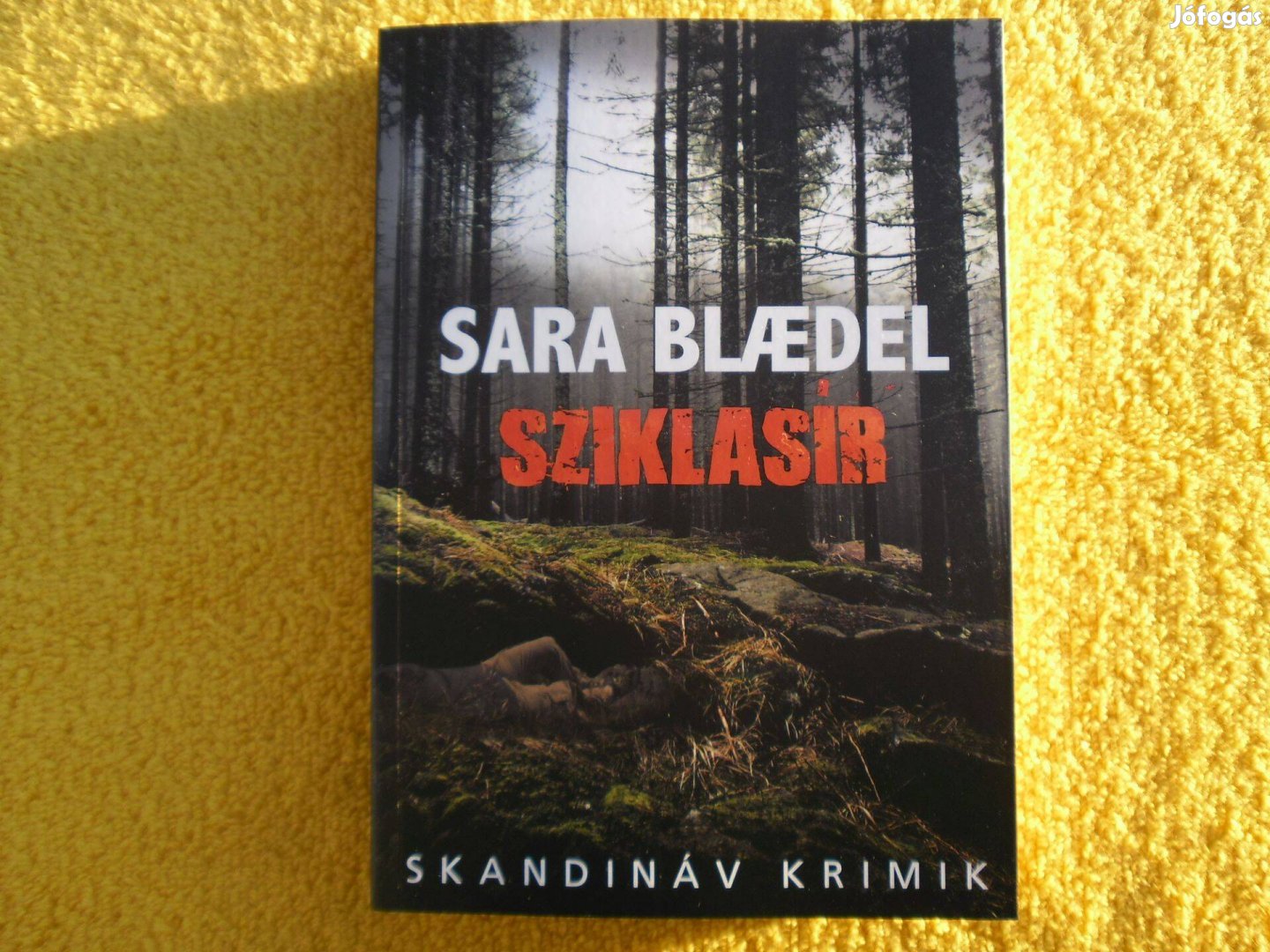 Sara Blaedel: Sziklasír /Skandináv krimik/