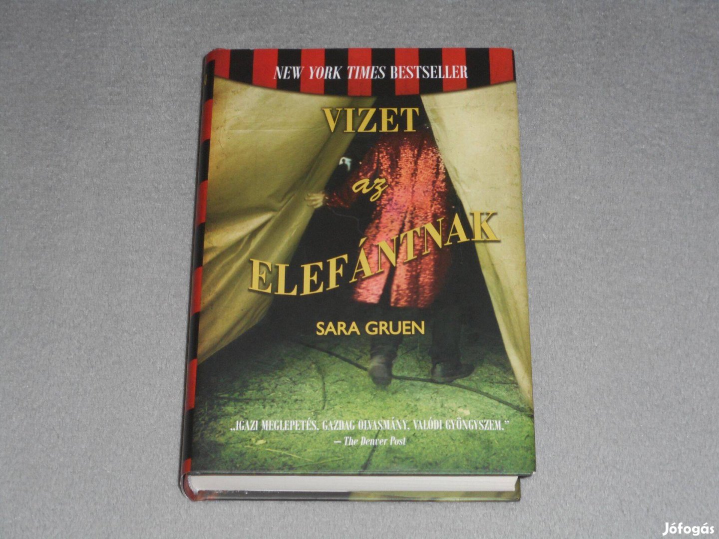 Sara Gruen - Vizet az elefántnak