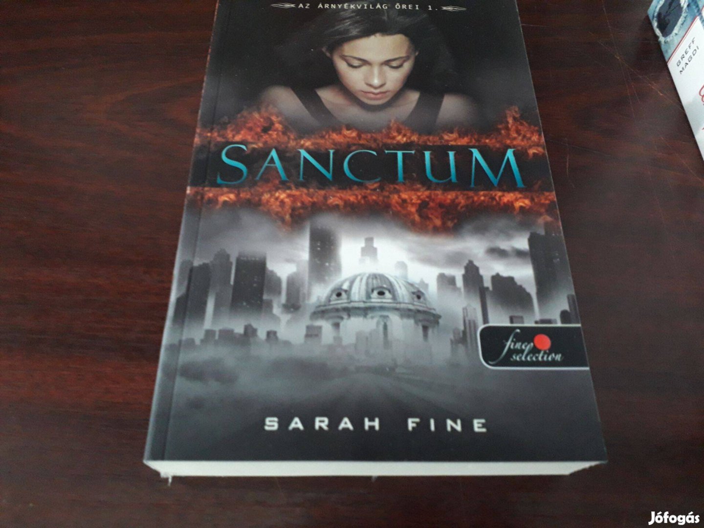 Sarah Fine - Sanctum